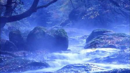 同心迎春 共富未来